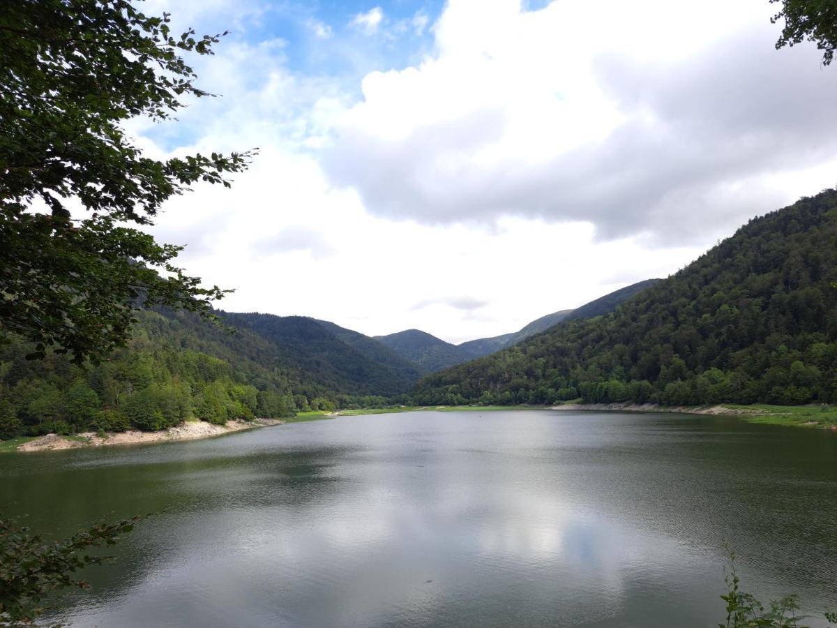 Gite Monts Et Merveilles Mollau Экстерьер фото