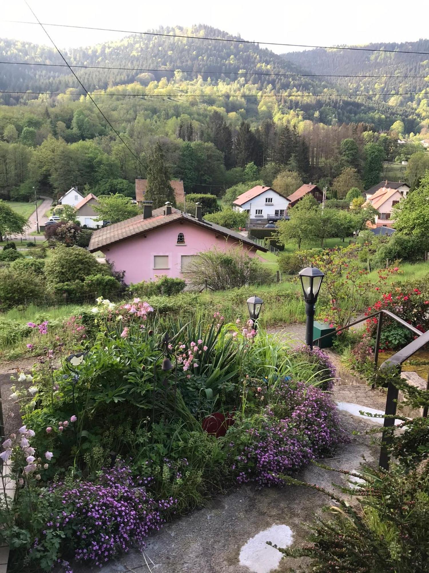 Gite Monts Et Merveilles Mollau Экстерьер фото